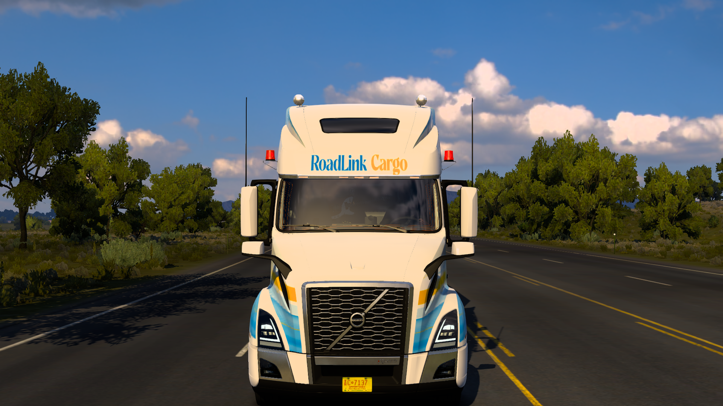 Skin RoadLink Cargo 1.54